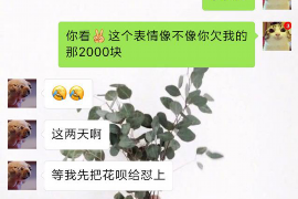 临沧要账公司更多成功案例详情